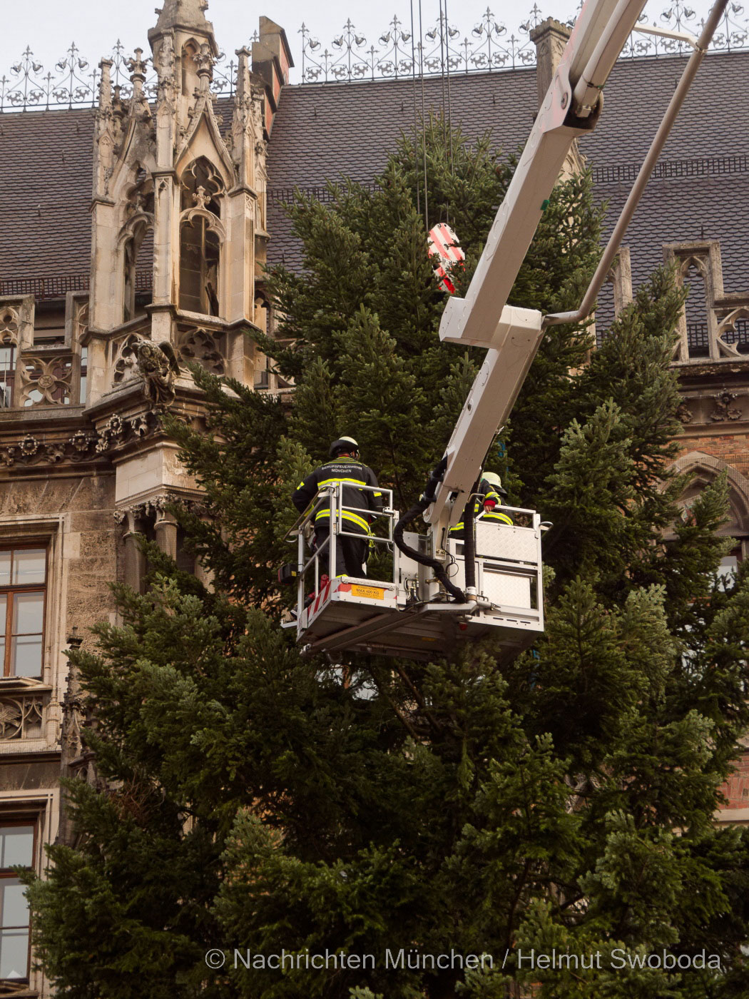 Ein Christbaum für München aus Hohenpeißenberg