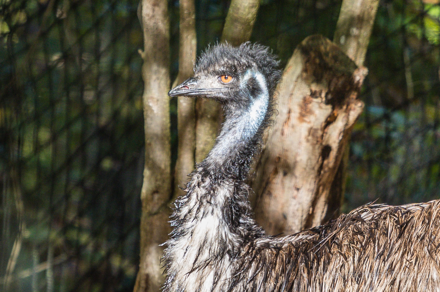 Tierpark Hellabrunn Herbst 2022