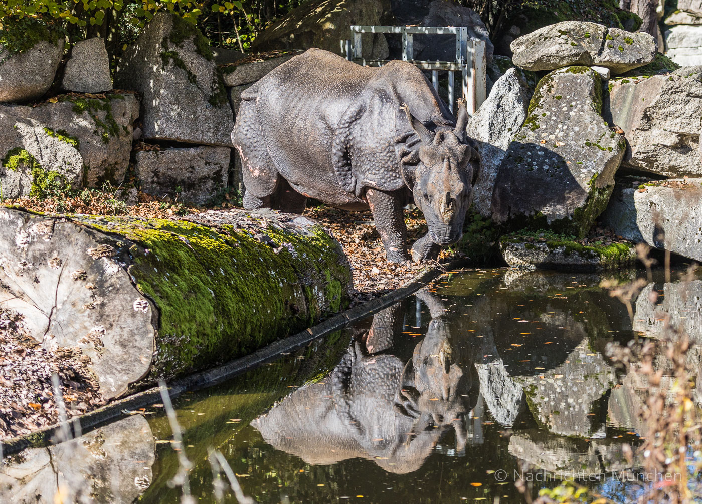 Tierpark Hellabrunn Herbst 2022