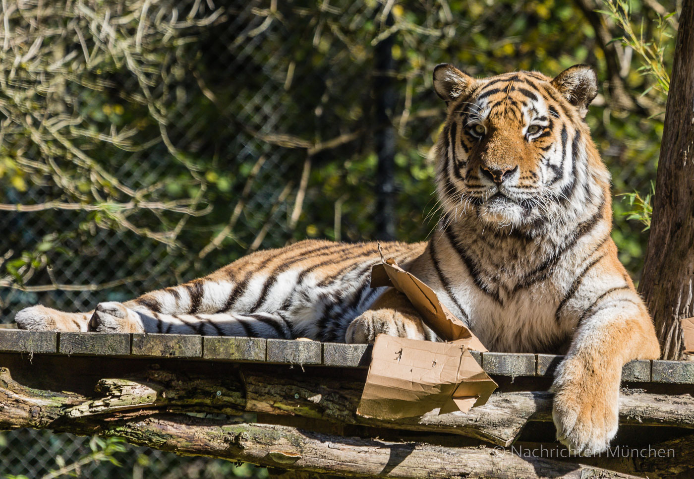 Tierpark Hellabrunn Herbst 2022