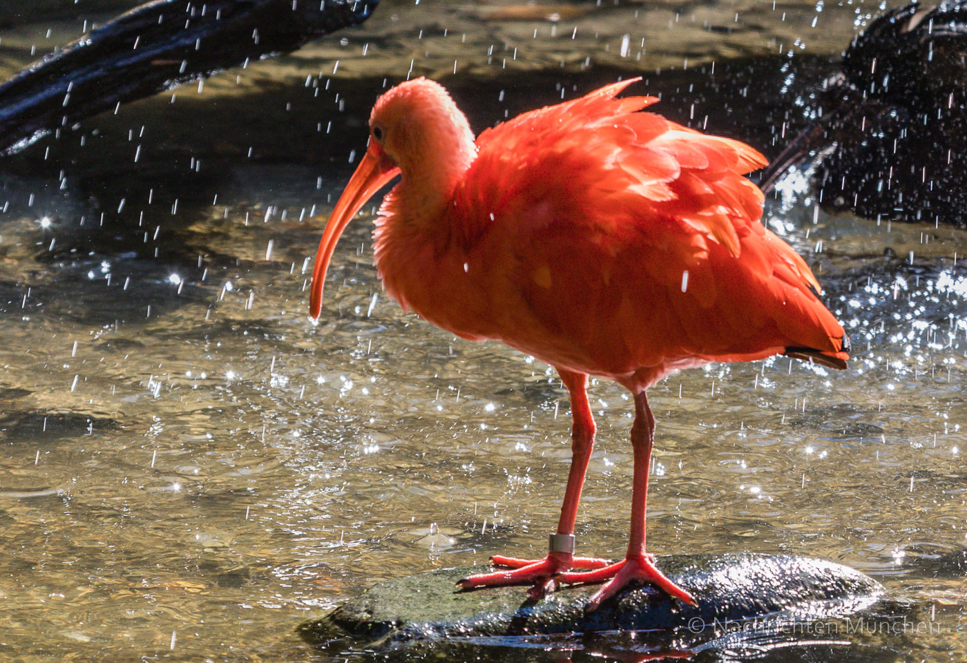 Tierpark Hellabrunn Herbst 2022