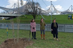 25-Baeume-fuer-den-Olympiapark-500.000-Baeume-fuer-Muenchen-11-von-12
