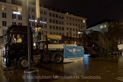Christbaum-fuer-Muenchen-2019-001