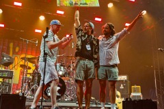 Dis M auf dem Tollwood Sommerfestival 2023