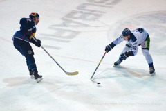 EHC Red Bull München vs. Straubing Tigers