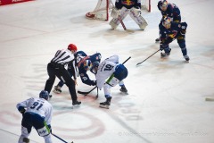 EHC Red Bull München vs. Straubing Tigers