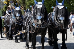 Fruehlingsfest Eroeffnung 2018 0060
