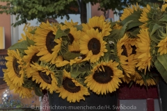 Gärtnerjahrtag 2015 (10 von 70)