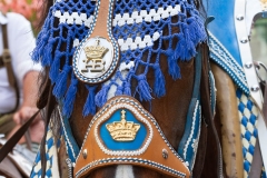 Gärtnerjahrtag 2018 (15 von 99)