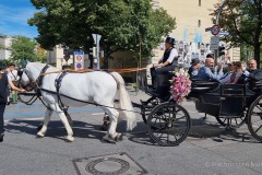 Gaertnerjahrtag-2022-Festumzug-in-Muenchen-50-von-70