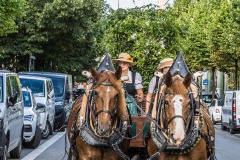 Gaertnerjahrtag-2022-Festumzug-in-Muenchen-8-von-70