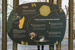 Tierpark Hellabrunn: Fertigstellung des Hauses der kleinen Affen