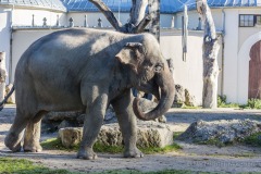 Tierpark Hellabrunn Herbst 2022