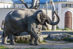 Tierpark Hellabrunn Herbst 2022