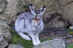 Tierpark Hellabrunn Herbst 2022