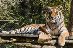 Tierpark Hellabrunn Herbst 2022