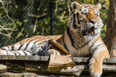 Tierpark Hellabrunn Herbst 2022