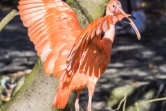 Tierpark Hellabrunn Herbst 2022