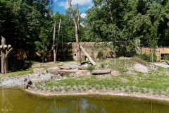 Tierpark-Hellabrunn-Loewenanlage-eroeffnet-2-von-16