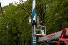 Maibaum aufstellen 2023 am Wirtshaus am Bavariapark