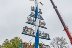 Maibaum-aufstellen-auf-dem-Viktualienmarkt-95-von-127