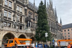 Christbaum-Muenchen-2021 23