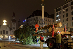 Der-Muenchner-Christbaum-2020-1-von-27