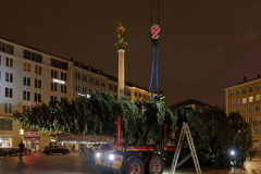 Der-Muenchner-Christbaum-2020-13-von-27