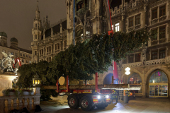 Der-Muenchner-Christbaum-2020-14-von-27