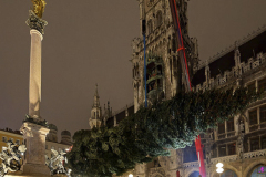 Der-Muenchner-Christbaum-2020-15-von-27