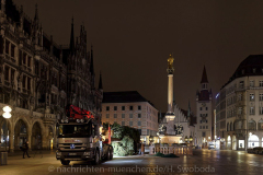 Der-Muenchner-Christbaum-2020-2-von-27