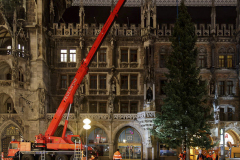 Der-Muenchner-Christbaum-2020-23-von-27