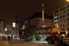 Der-Muenchner-Christbaum-2020-4-von-27