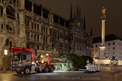 Der-Muenchner-Christbaum-2020-6-von-27