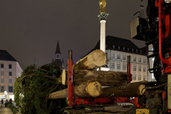 Der-Muenchner-Christbaum-2020-7-von-27