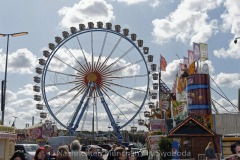 Wiesn-Presserundgang-2019-075