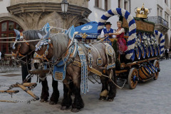 Vorstellung-PLAYBOY-Wiesn-Playmate-2020-im-Hofbraeuhaus-am-Platzl-7