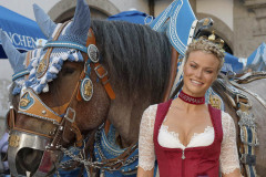 Vorstellung-PLAYBOY-Wiesn-Playmate-2020-im-Hofbraeuhaus-am-Platzl