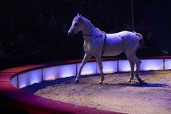 Circus-Krone-Star-Progamm-New-Memories-51-von-128