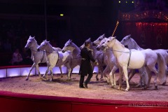 Circus-Krone-Star-Progamm-New-Memories-56-von-128