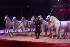 Circus-Krone-Star-Progamm-New-Memories-57-von-128