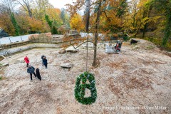 Blick während dem Richtfest auf die neue Löwenanlage am Freitag (29.10.2021) im Tierpark Hellabrunn in München Foto: Marc Müller/Tierpark Hellabrunn