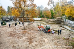 Blick während dem Richtfest auf die neue Löwenanlage am Freitag (29.10.2021) im Tierpark Hellabrunn in München Foto: Marc Müller/Tierpark Hellabrunn