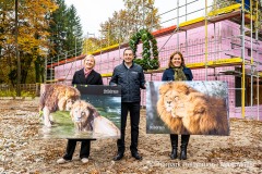 Sabine Schölzel (l), designiertes Vorstandsmitglied der Stadtsparkasse München, Verena Dietl (r), Bürgermeisterin von München und Aufsichtsratsvorsitzende des Tierparks sowie Tierparkdirektor Rasem Baban sind am Freitag (29.10.2021) während dem Richtfest auf der neuen Löwenanlage im Tierpark Hellabrunn in München zu sehen. Foto: Marc Müller/Tierpark Hellabrunn