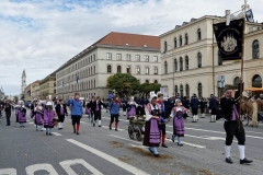 Wiesn Trachtenumzug 2018 3720