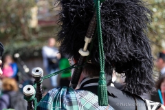 St. Patrick's Day 2019 (1 von 206)