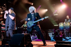 TOTO - The Dogz of Oz World Tour 2024