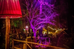 Weihnachtsmarkt auf Schoss Kaltenberg (34 von 48)