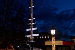 Winterzauber-2023-auf-dem-Viktualienmarkt-eroeffnet-12-von-15