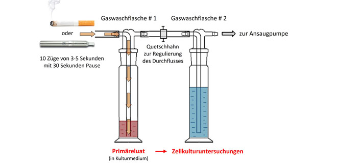 studie